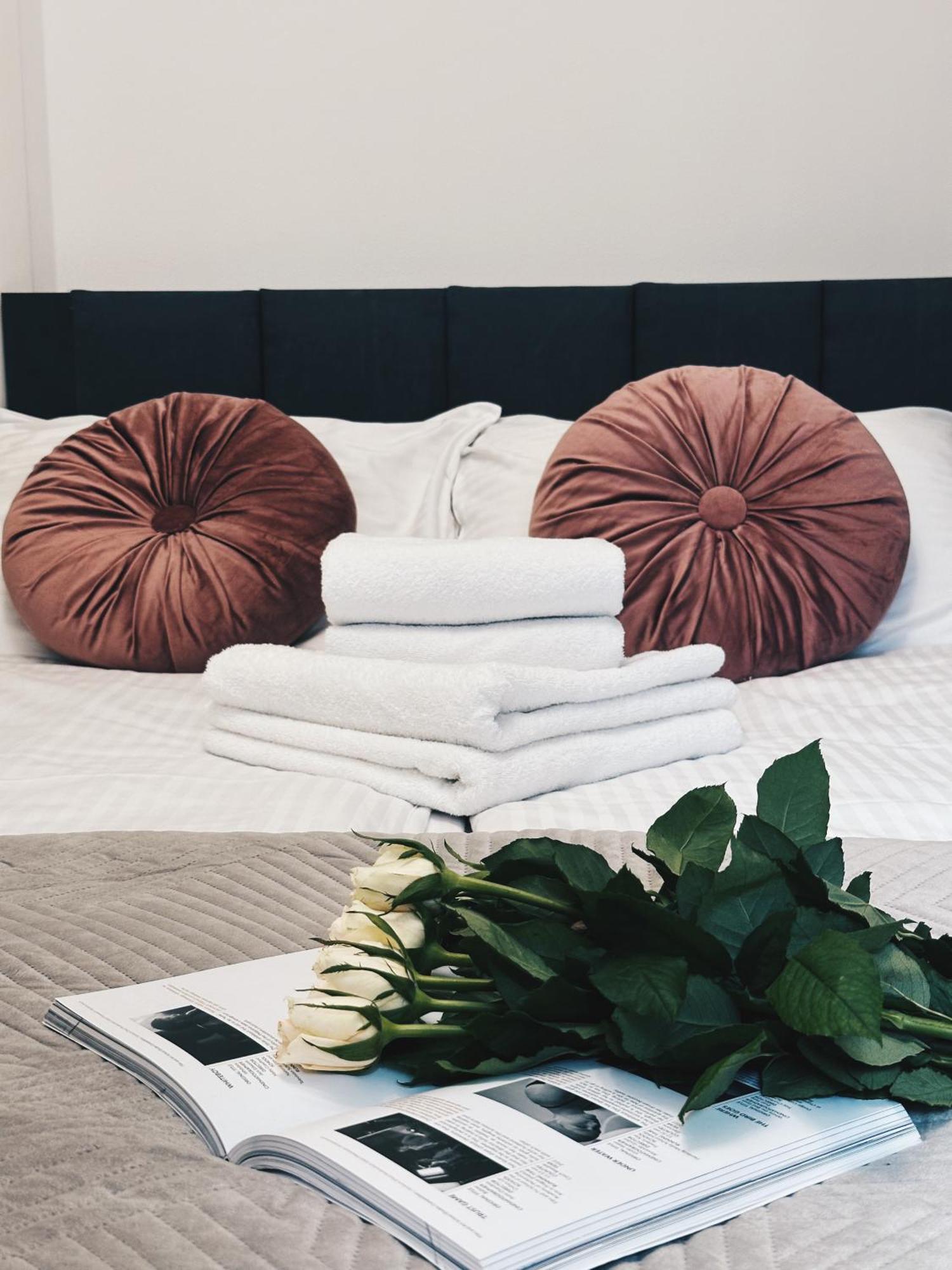Soft Loft Apartamenty Stary Toruń 外观 照片